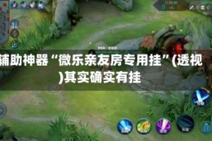 辅助神器“微乐亲友房专用挂”(透视)其实确实有挂