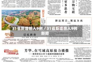31省新增输入9例／31省新增输入9例 新闻