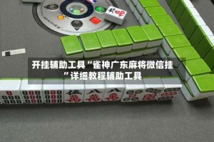 开挂辅助工具“雀神广东麻将微信挂”详细教程辅助工具
