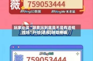 玩家必读“随意玩到底是不是有透视挂吗”开挂(透视)辅助神器