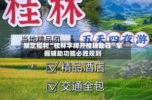 限定福利“桂林字牌开挂辅助器”掌握辅助功能必胜规则