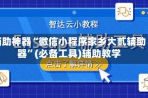 辅助神器“微信小程序家乡大贰辅助器”(必备工具)辅助教学