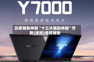 玩家辅助神器“十三水辅助神器”作弊(透视)透视辅助