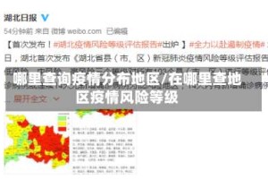 哪里查询疫情分布地区/在哪里查地区疫情风险等级
