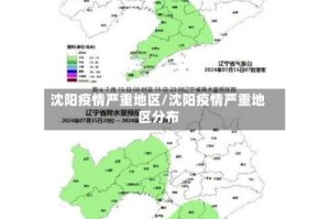 沈阳疫情严重地区/沈阳疫情严重地区分布