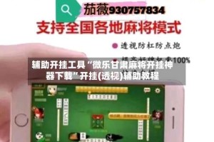辅助开挂工具“微乐甘肃麻将开挂神器下载”开挂(透视)辅助教程