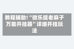 教程辅助!“微乐捉老麻子万能开挂器”详细开挂玩法