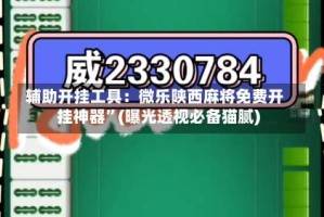 辅助开挂工具：微乐陕西麻将免费开挂神器”(曝光透视必备猫腻)