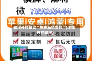 教程开挂辅助“白金岛免费挂”(详细开挂教程)
