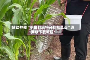 辅助神器“手机打麻将开挂怎么买”通用版下载教程！