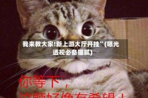 我来教大家!新上游大厅开挂”(曝光透视必备猫腻)