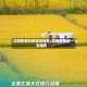 沈阳疫情封闭管控地区/沈阳疫情封锁地区