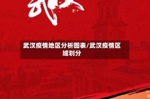 武汉疫情地区分析图表/武汉疫情区域划分