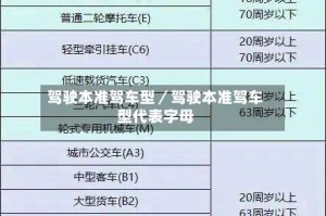 驾驶本准驾车型／驾驶本准驾车型代表字母