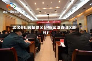武汉青山疫情地区分布(武汉青山区新冠)