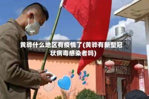 黄骅什么地区有疫情了(黄骅有新型冠状病毒感染者吗)