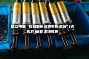 辅助神器“邯郸胡乐麻将有规律吗”(透视挂)透视详细教程