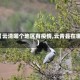 【云清哪个地区有疫情,云青县在哪】
