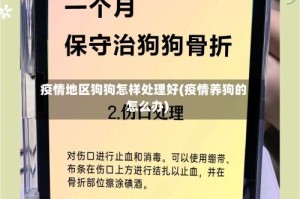疫情地区狗狗怎样处理好(疫情养狗的怎么办)
