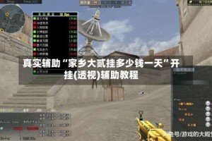 真实辅助“家乡大贰挂多少钱一天”开挂(透视)辅助教程