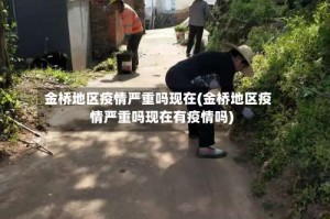 金桥地区疫情严重吗现在(金桥地区疫情严重吗现在有疫情吗)
