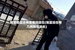 锡盟地区还有疫情吗现在(锡盟现在有几例新增肺炎)