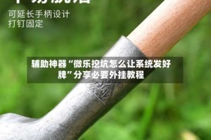 辅助神器“微乐挖坑怎么让系统发好牌”分享必要外挂教程