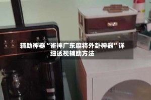 辅助神器“雀神广东麻将外卦神器”详细透视辅助方法