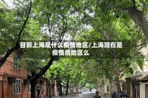 目前上海是什么疫情地区/上海现在是疫情危险区么