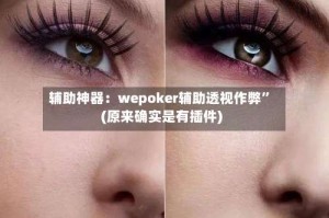 辅助神器：wepoker辅助透视作弊”(原来确实是有插件)