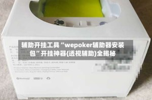 辅助开挂工具“wepoker辅助器安装包”开挂神器{透视辅助}全揭秘