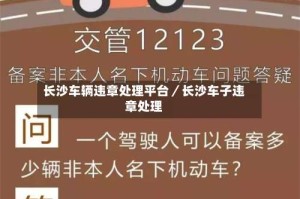 长沙车辆违章处理平台／长沙车子违章处理