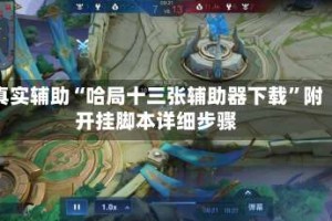 真实辅助“哈局十三张辅助器下载”附开挂脚本详细步骤