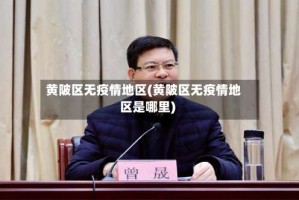 黄陂区无疫情地区(黄陂区无疫情地区是哪里)