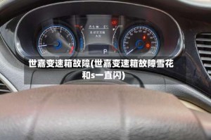 世嘉变速箱故障(世嘉变速箱故障雪花和s一直闪)
