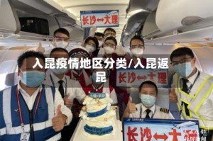入昆疫情地区分类/入昆返昆