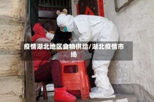疫情湖北地区食物供给/湖北疫情市场