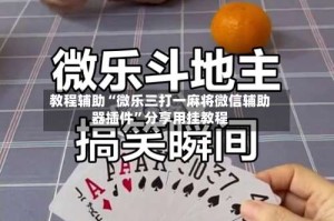 教程辅助“微乐三打一麻将微信辅助器插件”分享用挂教程