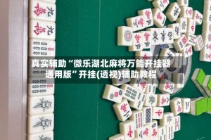 真实辅助“微乐湖北麻将万能开挂器通用版”开挂(透视)辅助教程