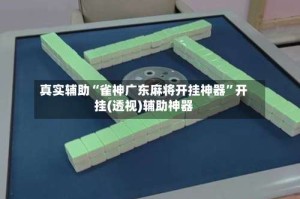 真实辅助“雀神广东麻将开挂神器”开挂(透视)辅助神器