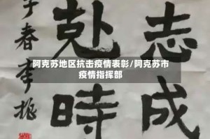 阿克苏地区抗击疫情表彰/阿克苏市疫情指挥部