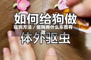 驱狗方法／驱狗用什么东西有效