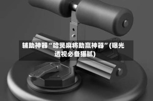 辅助神器“哈灵麻将助赢神器”(曝光透视必备猫腻)