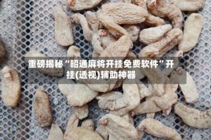 重磅揭秘“昭通麻将开挂免费软件”开挂(透视)辅助神器