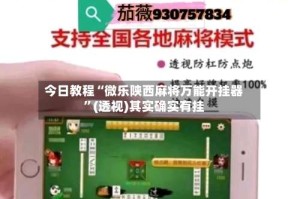 今日教程“微乐陕西麻将万能开挂器”(透视)其实确实有挂