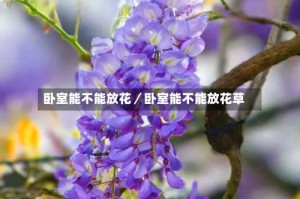 卧室能不能放花／卧室能不能放花草