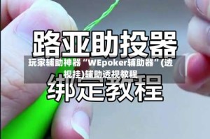玩家辅助神器“WEpoker辅助器”(透视挂)辅助透视教程