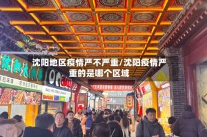 沈阳地区疫情严不严重/沈阳疫情严重的是哪个区域