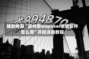 辅助神器“德州局wepoker透视软件怎么用”开挂详细教程
