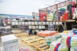 各地区疫情核酸图片/各地区疫情核酸图片最新